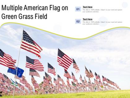 Multiple american flag on green grass field