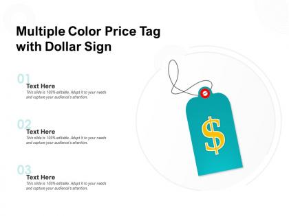 Multiple color price tag with dollar sign