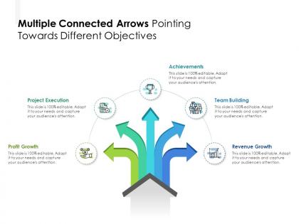 Multiple connected arrows pointing towards different objectives