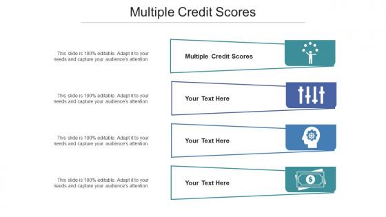 Multiple Credit Scores Ppt Powerpoint Presentation Portfolio Rules Cpb