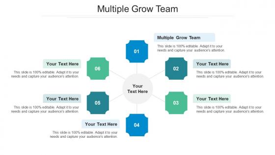 Multiple grow team ppt powerpoint presentation file format ideas cpb