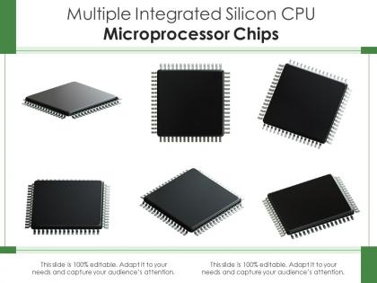 Multiple integrated silicon cpu microprocessor chips