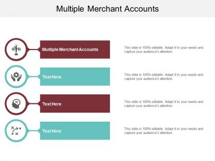 Multiple merchant accounts ppt powerpoint presentation icon demonstration cpb