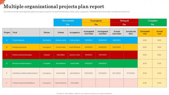 Multiple Organizational Projects Plan Report