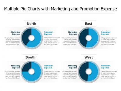 Multiple pie charts with marketing and promotion expense