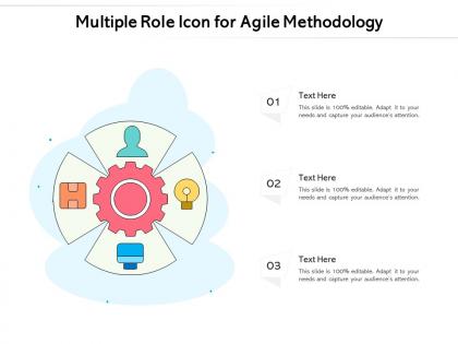 Multiple role icon for agile methodology