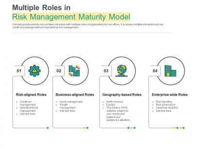 Multiple roles in risk management maturity model