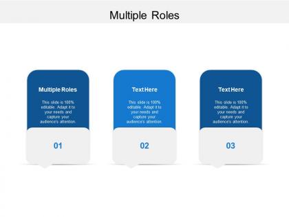 Multiple roles ppt powerpoint presentation professional format cpb