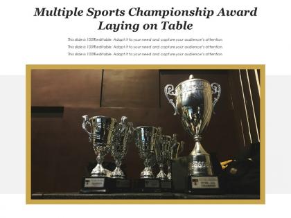 Multiple sports championship award laying on table