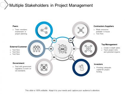 Multiple stakeholders in project management
