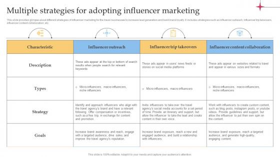 Multiple Strategies For Adopting Influencer Efficient Tour Operator Advertising Plan Strategy SS V
