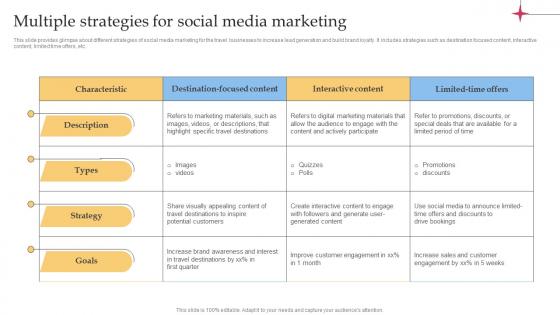 Multiple Strategies For Social Media Marketing Efficient Tour Operator Advertising Plan Strategy SS V