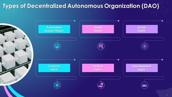 Multiple Types Of Decentralized Autonomous Organizations Daos Training Ppt