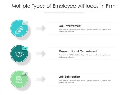 Multiple types of employee attitudes in firm