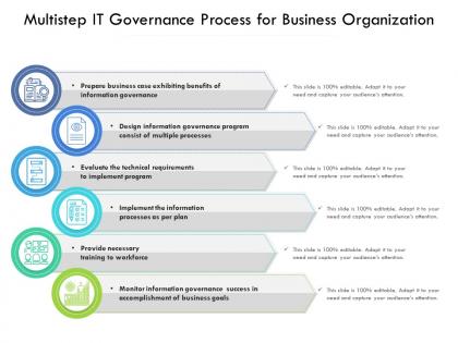 Multistep it governance process for business organization
