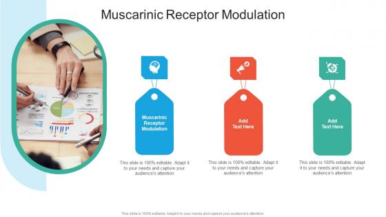 Muscarinic Receptor Modulation In Powerpoint And Google Slides Cpb