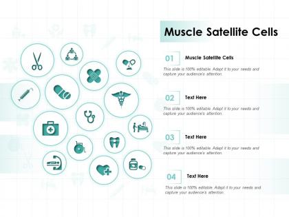 Muscle satellite cells ppt powerpoint presentation summary example topics