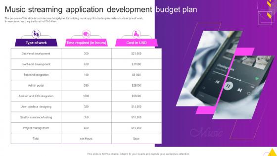 Music Streaming Application Development Budget Plan