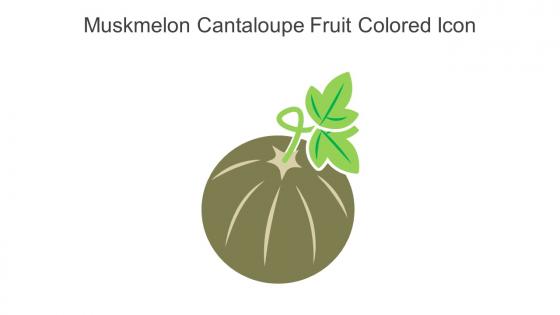 Muskmelon Cantaloupe Fruit Colored Icon In Powerpoint Pptx Png And Editable Eps Format