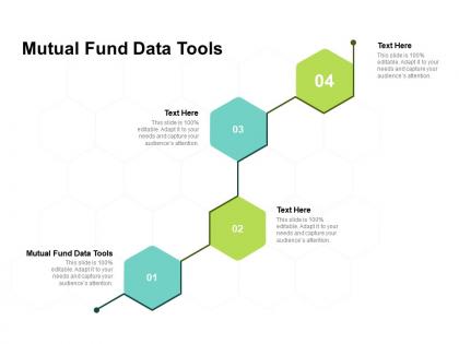 Mutual fund data tools ppt powerpoint presentation infographics design ideas cpb