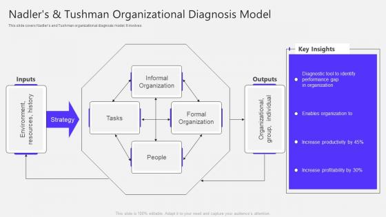 Nadlers And Tushman Organizational Diagnosis Model