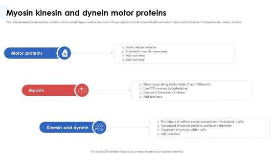 Nanorobotics In Healthcare And Medicine Myosin Kinesin And Dynein Motor Proteins