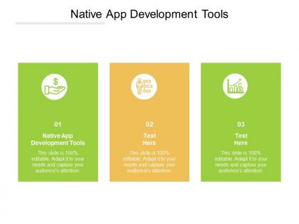 Native app development tools ppt powerpoint presentation inspiration microsoft cpb