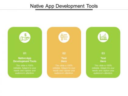Native app development tools ppt powerpoint presentation professional skills cpb