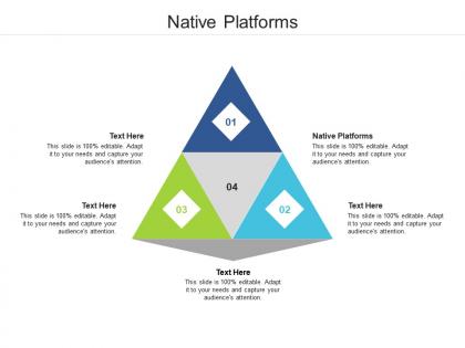 Native platforms ppt powerpoint presentation icon graphic images cpb
