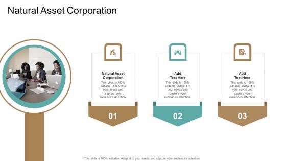 Natural Asset Corporation In Powerpoint And Google Slides Cpb