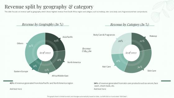 Natural Beautifying Products Company Profile Revenue Split By Geography And Category