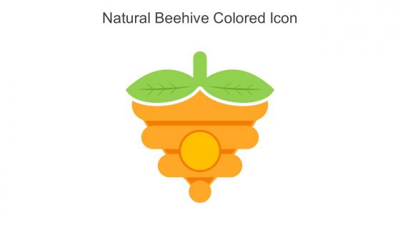 Natural Beehive Colored Icon In Powerpoint Pptx Png And Editable Eps Format