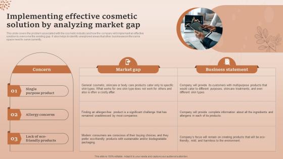Natural Cosmetic Business Plan Implementing Effective Cosmetic Solution By Analyzing Gap BP SS
