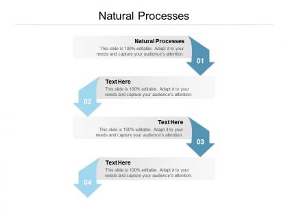 Natural processes ppt powerpoint presentation slides grid cpb