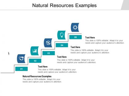 Natural resources examples ppt powerpoint presentation layouts slide cpb