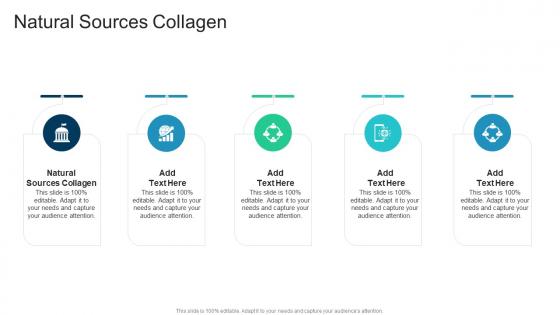 Natural Sources Collagen In Powerpoint And Google Slides Cpb