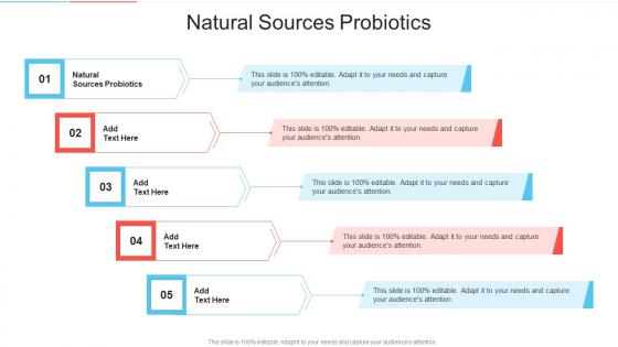 Natural Sources Probiotics In Powerpoint And Google Slides Cpb