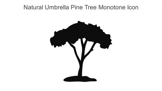 Natural Umbrella Pine Tree Monotone Icon In Powerpoint Pptx Png And Editable Eps Format