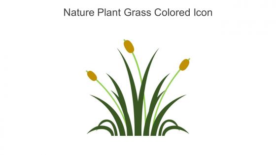 Nature Plant Grass Colored Icon In Powerpoint Pptx Png And Editable Eps Format