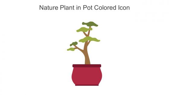 Nature Plant In Pot Colored Icon In Powerpoint Pptx Png And Editable Eps Format