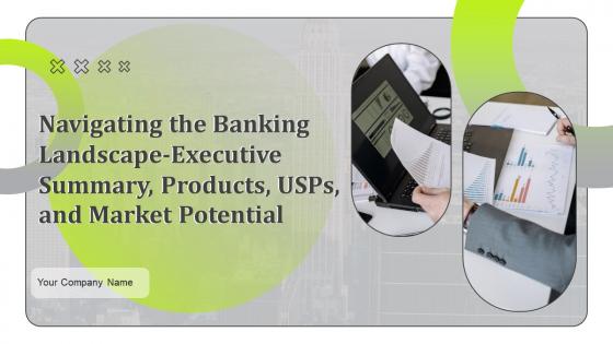 Navigating The Banking Landscape Executive Summary Products USPs And Market Potential BP MM