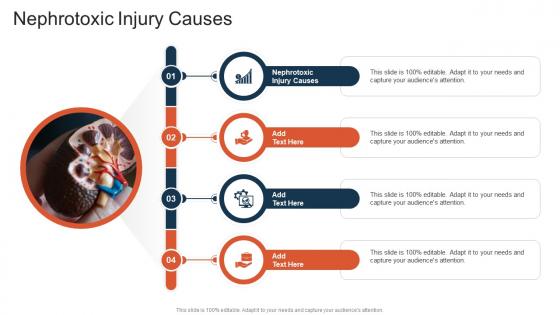 Nephrotoxic Injury Causes PowerPoint Presentation and Slides | SlideTeam