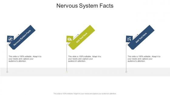 Nervous System Facts In Powerpoint And Google Slides Cpb