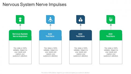 Nervous System Nerve Impulses In Powerpoint And Google Slides Cpb