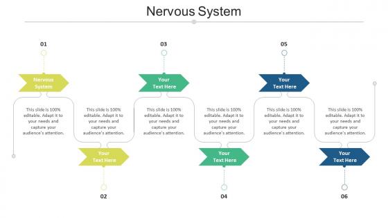 Nervous system ppt powerpoint presentation inspiration show cpb