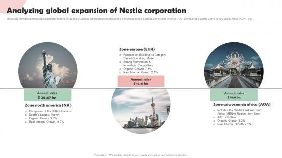 Nestle Company Overview Analyzing Global Expansion Of Nestle Corporation Strategy SS V