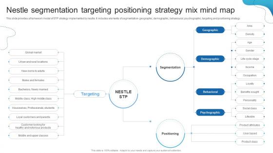 Nestle Segmentation Targeting Positioning Strategy Detailed Analysis Of Nestles Marketing Strategy SS