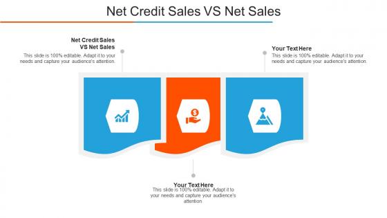 Net Credit Sales Vs Net Sales Ppt Powerpoint Presentation Model Guidelines Cpb