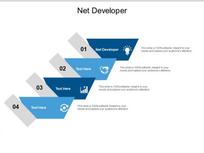 Net developer ppt powerpoint presentation show example cpb