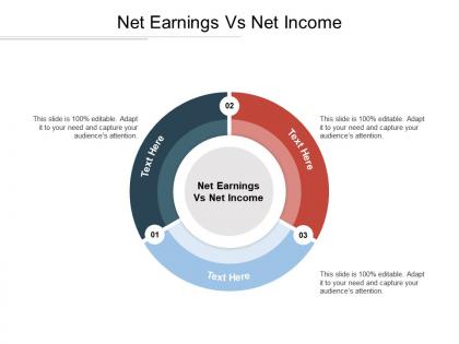 Net earnings vs net income ppt powerpoint presentation gallery influencers cpb